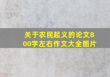 关于农民起义的论文800字左右作文大全图片