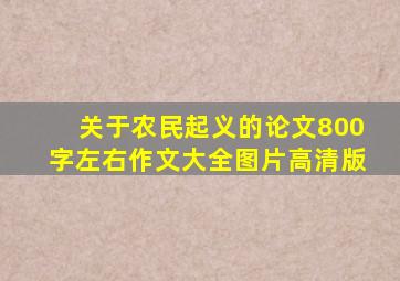 关于农民起义的论文800字左右作文大全图片高清版