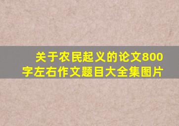 关于农民起义的论文800字左右作文题目大全集图片