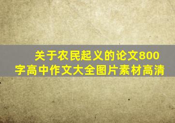 关于农民起义的论文800字高中作文大全图片素材高清