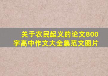 关于农民起义的论文800字高中作文大全集范文图片