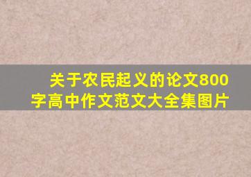 关于农民起义的论文800字高中作文范文大全集图片