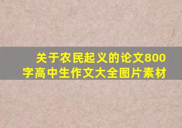 关于农民起义的论文800字高中生作文大全图片素材