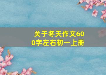 关于冬天作文600字左右初一上册