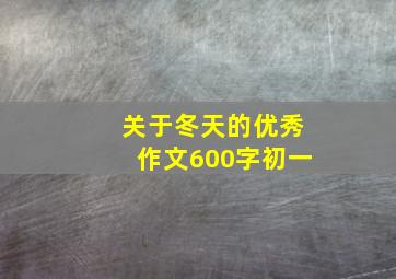 关于冬天的优秀作文600字初一