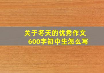 关于冬天的优秀作文600字初中生怎么写