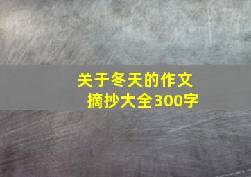 关于冬天的作文摘抄大全300字