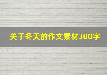 关于冬天的作文素材300字