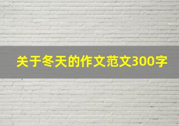 关于冬天的作文范文300字