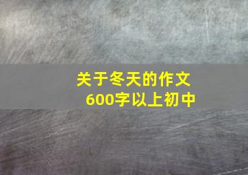 关于冬天的作文600字以上初中