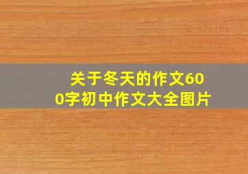 关于冬天的作文600字初中作文大全图片