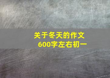 关于冬天的作文600字左右初一