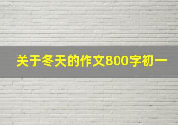 关于冬天的作文800字初一