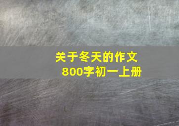 关于冬天的作文800字初一上册