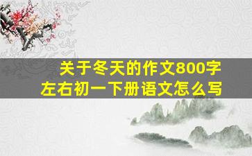 关于冬天的作文800字左右初一下册语文怎么写