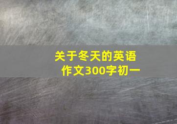 关于冬天的英语作文300字初一