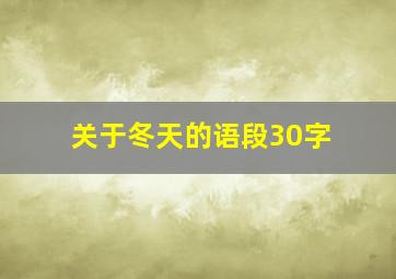 关于冬天的语段30字