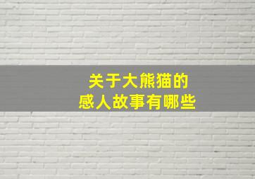 关于大熊猫的感人故事有哪些