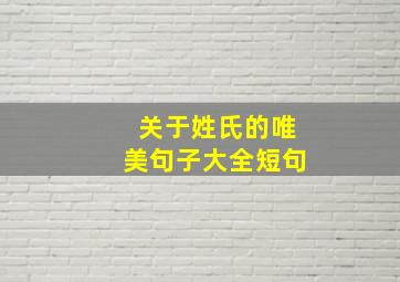 关于姓氏的唯美句子大全短句