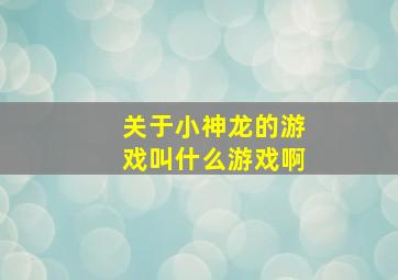 关于小神龙的游戏叫什么游戏啊