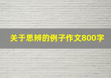 关于思辨的例子作文800字