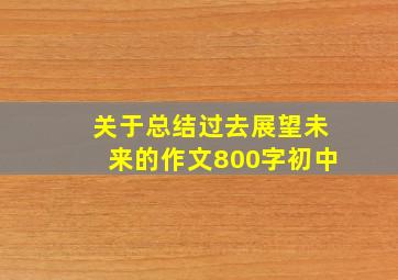 关于总结过去展望未来的作文800字初中