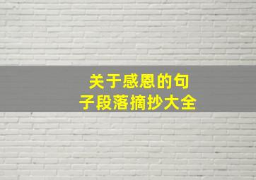 关于感恩的句子段落摘抄大全