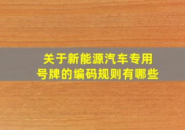 关于新能源汽车专用号牌的编码规则有哪些