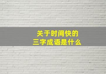 关于时间快的三字成语是什么