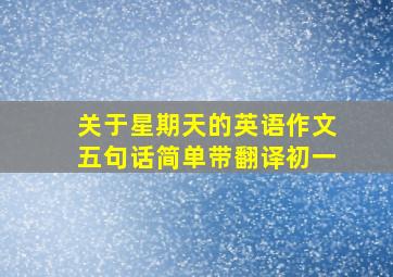 关于星期天的英语作文五句话简单带翻译初一