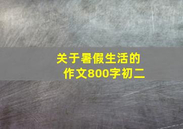 关于暑假生活的作文800字初二