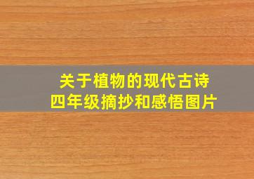 关于植物的现代古诗四年级摘抄和感悟图片