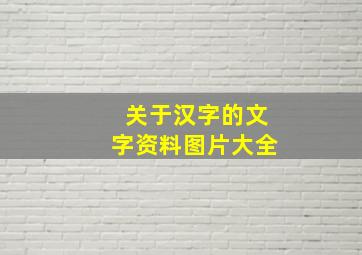 关于汉字的文字资料图片大全