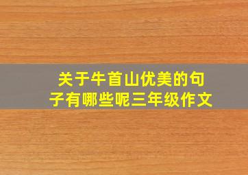 关于牛首山优美的句子有哪些呢三年级作文