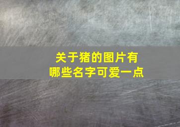 关于猪的图片有哪些名字可爱一点