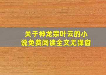 关于神龙宗叶云的小说免费阅读全文无弹窗