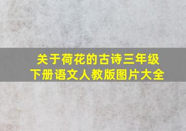 关于荷花的古诗三年级下册语文人教版图片大全