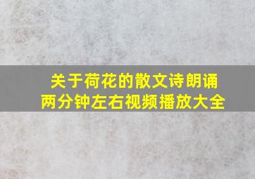 关于荷花的散文诗朗诵两分钟左右视频播放大全