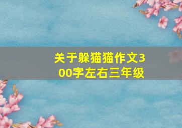 关于躲猫猫作文300字左右三年级