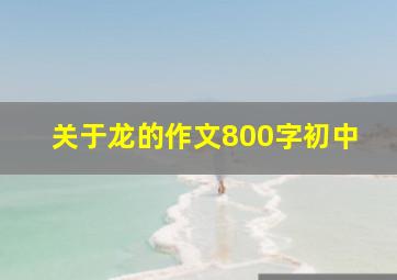 关于龙的作文800字初中