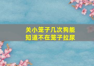 关小笼子几次狗能知道不在笼子拉尿