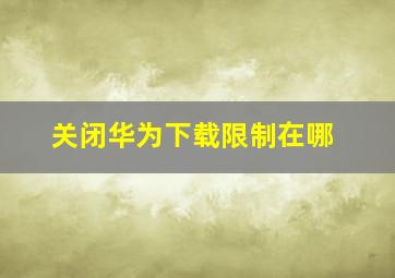 关闭华为下载限制在哪