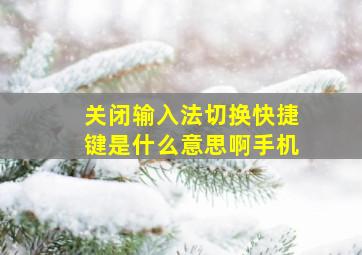 关闭输入法切换快捷键是什么意思啊手机