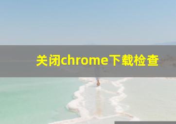 关闭chrome下载检查