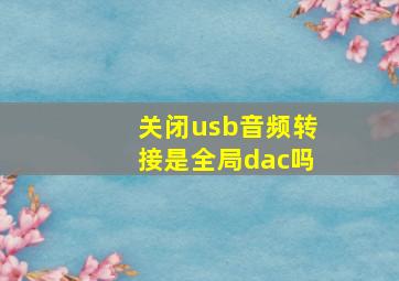 关闭usb音频转接是全局dac吗