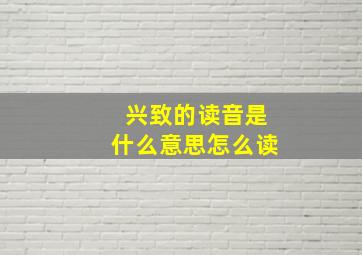 兴致的读音是什么意思怎么读