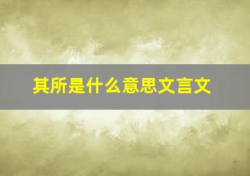 其所是什么意思文言文