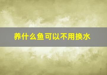 养什么鱼可以不用换水