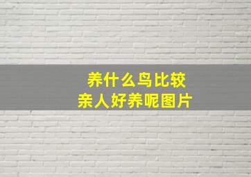 养什么鸟比较亲人好养呢图片