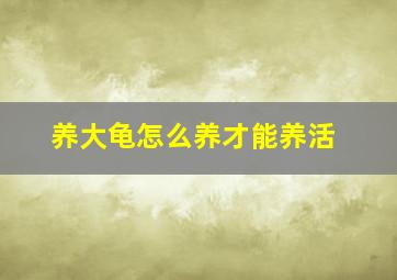 养大龟怎么养才能养活